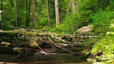 一个旅行者，一个穿着<strong>羽绒服</strong>和背包的女人，穿过一条山河越过一根原木。